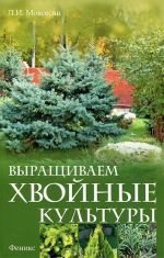 Выращиваем хвойные культуры