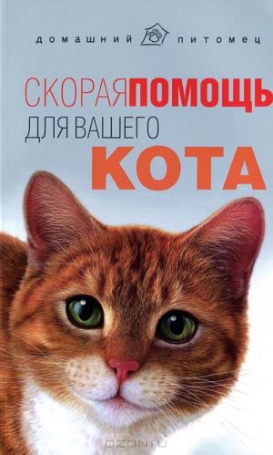 Скорая помощь для вашего кота