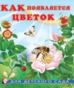 Как появляется цветок