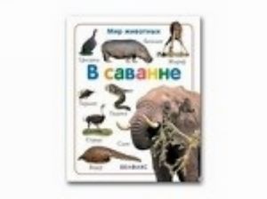 В саванне