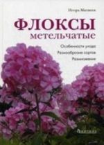 Флоксы метельчатые