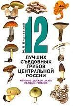 12 luchshikh sedobnykh gribov Tsentralnoj Rossii, kotorye dolzhen znat kazhdyj gribn