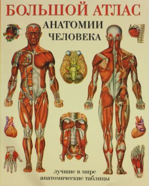 Bolshoj atlas anatomii cheloveka