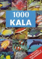 1000 KALA