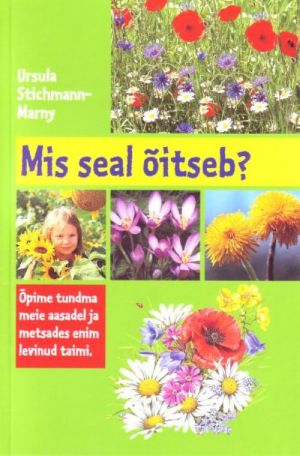 MIS SEAL ÕITSEB?