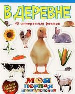 В деревне