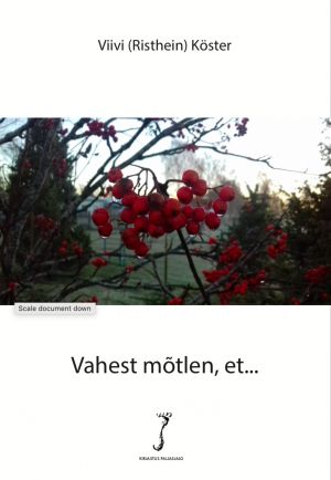 Vahest mõtlen, et ...