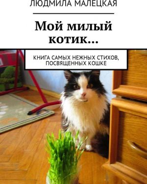 Мой милый котик...