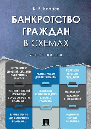 Банкротство граждан в схемах. Учебное пособие