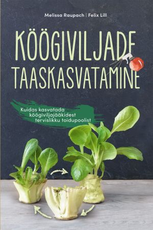 Köögiviljade taaskasvatmine. kuidas kasvatada köögiviljajääkidest tervislikku toidupoolist