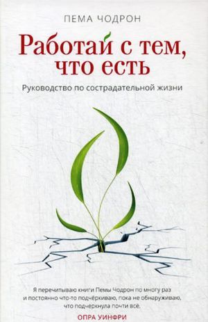 Работай с тем, что есть. Руководство по сострадательной практике