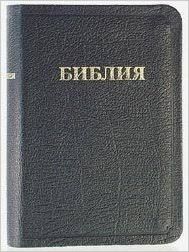 Biblija (1021) (kanonich)