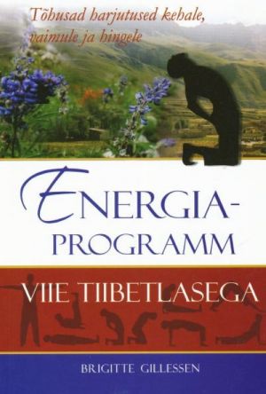 ENERGIAPROGRAMM VIIE TIIBETLASEGA