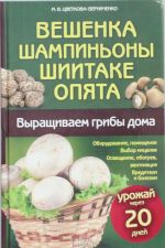 Veshenka, shampinony, shiitake, opjata. Vyraschivaem griby doma