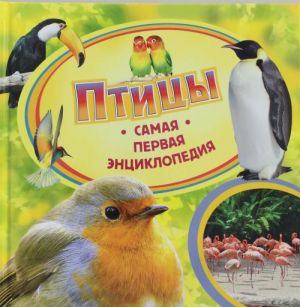 Птицы.