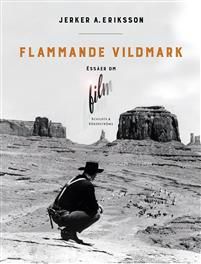 Flammande vildmark. Essäer om film