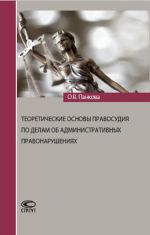 Teoreticheskie osnovy pravosudija po delam ob administrativnykh pravonarushenijakh