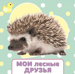 Мои лесные друзья