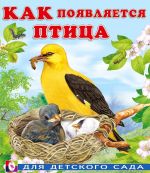 Как появляется птица