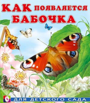 Как появляется бабочка