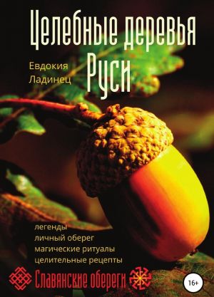 Целебные деревья Руси