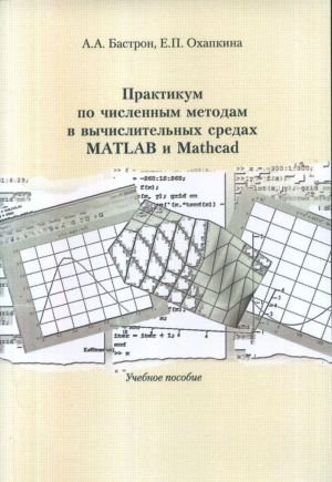 Praktikum po chislennym metodam v vychislitelnykh sredakh MATLAB i Mathcad. Uchebnoe posobie