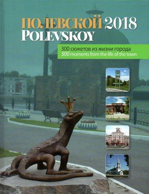 Полевской-2018. 300 сюжетов из жизни города