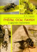 Пчёлы, осы, пауки и другие строители