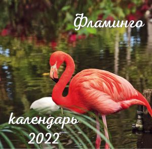 Flamingo. Kalendar nastennyj na 2022 god (300kh300 mm)