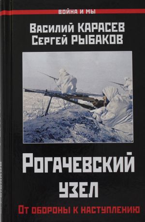 Рогачевский узел. От обороны к наступлению