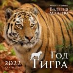 God tigra. Fotografii Valerija Maleeva. Kalendar nastennyj na 2022 god (300kh300 mm)