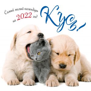 Bity! The cutest 2022 calendar