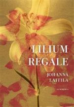 Lilium regale