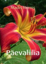 Päevaliilia