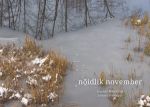 Nõidlik november