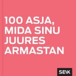 100 asja, mida sinu juures armastan