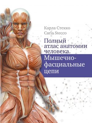 Polnyj atlas anatomii cheloveka. Myshechno-fastsialnye tsepi