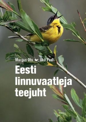 Eesti linnuvaatleja teejuht