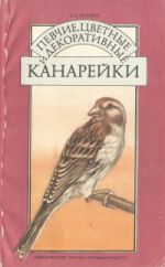 Певчие, цветные и декоративные канарейки