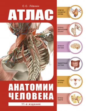 Atlas anatomii cheloveka