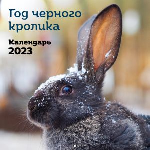 Year of the Black Rabbit. Wall calendar for 2023. In Russian