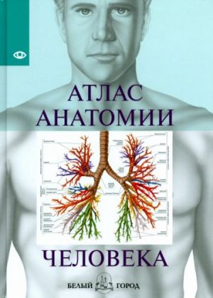 Atlas anatomii cheloveka