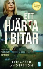 Ett hjärta i bitar