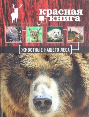 Красная книга. Животные нашего леса