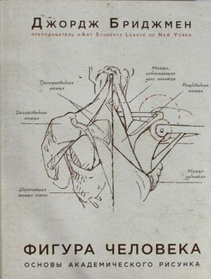 Figura cheloveka. Osnovy akademicheskogo risunka.