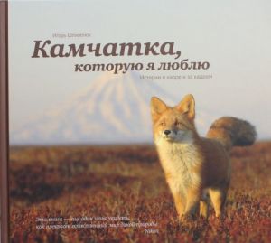 Kamchatka, kotoruju ja ljublju. Istorii v kadre i za kadrom