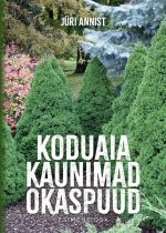 Koduaia kaunimad okaspuud