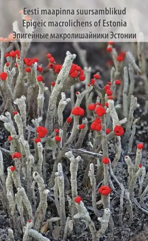 Epigeic macrolichens of Estonia /Eesti maapinna suursamblikud