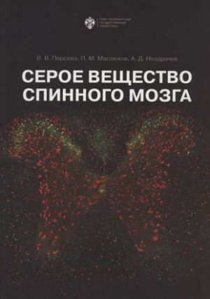 Серое вещество спинного мозга