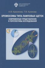 Хромосомы типа ламповых щеток: современные представления и перспективы исследований